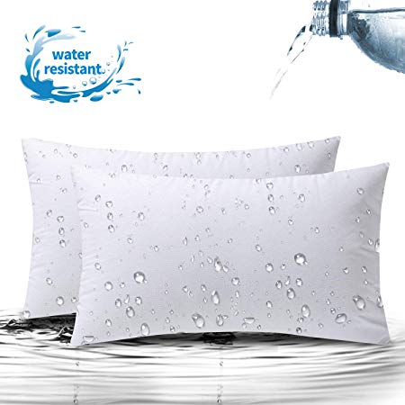 Phantoscope 2 Packs Outdoor Anti-Mold Water Resistant Throw Pillow Inserts Hypoallergenic Square Form Sham Stuffer 12" x 20"