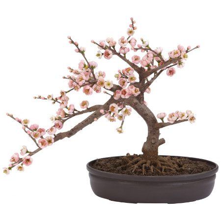 Nearly Natural 4764 Cherry Blossom Bonsai Silk Tree Pink