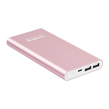 Lumsing Pilot 4GS 12000mAh Dual Port Portable Charger External Power Bank With Apple Lightning 2A Input for IPhone 7 IPad Smartphones Tablets and More (Pink)
