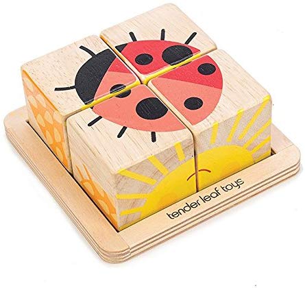 Tender Leaf Toys - Baby Blocks - 5 Pieces My First Wooden Jigsaw Puzzle with Storage Tray for Toddlers 18M