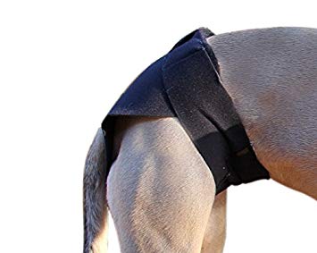 Healers Dog Anxiety Therapeutic Multi Use Wrap