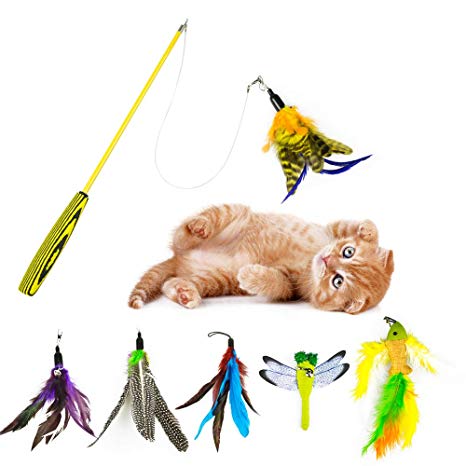 Feather cat Toys Set of 6 Piece Replacement Refill Interactive cat Teaser Exercises for cat,Kitten