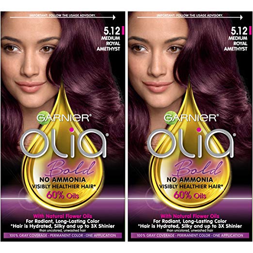 Garnier Olia Bold Ammonia Free Permanent Hair Color (Packaging May Vary), 5.12 Medium Royal Amethyst, Purple Hair Dye, 2 Count