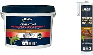 Bostik Cementone General Purpose Mortar, Pre-Mixed, Easy to Use, for Interior & Exterior Repairs & Maintenance, Colour: Grey, Size: 5kg & Express Pointing Mortar, Colour: Grey, 310ml