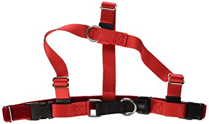 Wiggles Wags & Whiskers Freedom No-Pull Harness Training Package