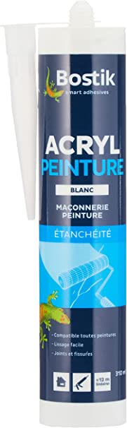 Mastic Acrylique Acryl Peinture - Cartouche de 310 Ml