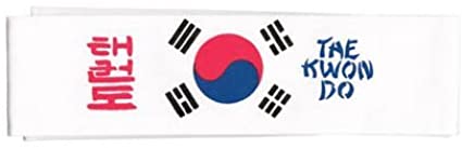 Tiger Claw Korean Flag Taekwondo Headband