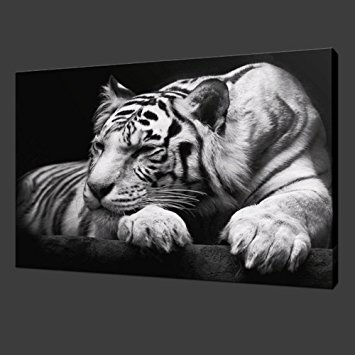 New Modern Wildlife Wall Painting Animal Black and White Tiger Poster Paint on Canvas Prints Home Decorative Art Picture (12x16inchx1pcs(30x40cmx1pcs))
