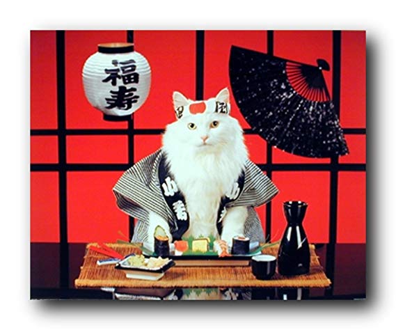 Sushi Cat (Japanese) Cute Kitten Art Print Poster (16x20)