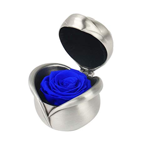 Handmade Preserved Flower Rose - Preserved Fresh Flower Eternity Rose, Unwithered Real Rose, Gift for Valentine's Day, Mother's Day, Thanksgiving Day, Christmas, Birthday, Anniversary (Silver & Blue)