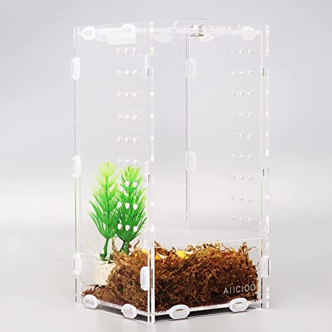 Micro Habitat Terrarium Enclosure 4x4x8 Inches Clear Acrylic Reptile Tank for Jumping Spiders Tarantula Insect Small Tree Dwelling Reptiles