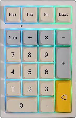 EPOMAKER TH21 21 Keys Hot Swap 2.4Ghz/Bluetooth 5.0/Wired Programmable RGB Mechanical Gaming Numpad with XDA Profile PBT Keycaps for Win/Mac(TH21 Geometry Grey Tri-Mode, Gateron Pro Brown)