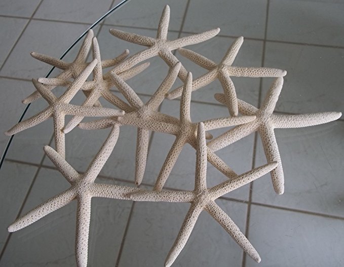 LOT of 10 White Pencil Starfish Wedding Decor 4" - 5"