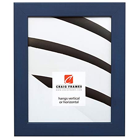 Craig Frames 26025 20 by 26-Inch Picture Frame, Smooth Wrap Finish, 1.26-Inch Wide, Blue