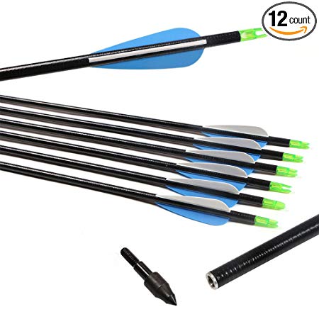 32" Archery Fiberglass Arrows Glass Fiber Shaft 2 Blue 1 White Vanes Fletched for Compound Bow and Recurve Bow 12pcs