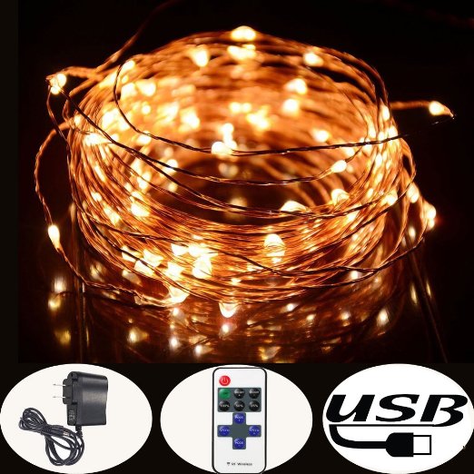 Accmor Indoor/Outdoor Led String Lights - USB Bedroom Copper Decorations for Father's Day - with USB Cable, Remote Controller, UL Certified Power Adapter - 33ft /100 LEDs, Warm White