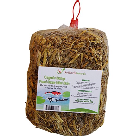 POND CLARIFIER for PROUD KOI POND OWNERS - Premium & Organic - Barley Straw for Ponds Mini Bale - Cleans Koi Ponds & Water Gardens the Safe Natural Way