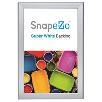 SnapeZo Notice Frame 11x17 Inches, Silver 1.25" Aluminum Profile, Front-Loading Snap Frame, Wall Mounting, Professional Series