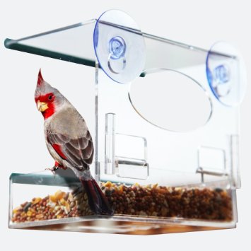 Unique Window Bird Feeder See Through Watch Wild Birds Up Close Removable Seed Tray Strong Suction Cups