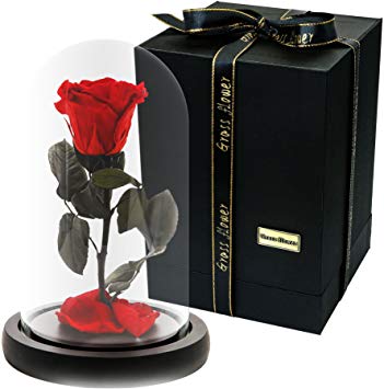 MAYMII 100% Handmade Preserved Never Withered Real Rose Flower With Real Fallen Petals, in Luxury Glass Dome Gift for Lover,Valentine's Day, Birthday , Wedding - Inspired By Beauty And The Beast