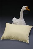 Travel Pillow with 700 Fill Power Goose Down