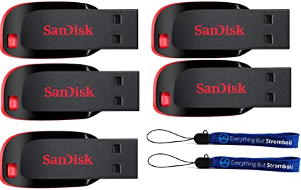 SanDisk Cruzer Blade 8GB (5 pack) USB 2.0 Flash Drive Jump Drive Pen Drive SDCZ50 - Five Pack w/ (2) Everything But Stromboli (TM) Lanyard