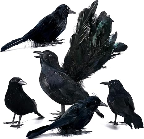 Orgrimmar 5 PCS Black Feather Crows Realistic Handmade Ravens Halloween Party Decor Props for Indoor Outdoor Decorations Birds (Black, 5 Packs)