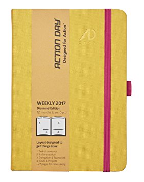 Action Day Planner Academic Calendar, 6 x 8 Inches, Yellow : 2016-2017