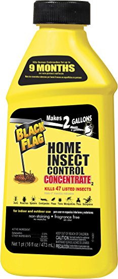 Black Flag Home Concentrate Insect Control