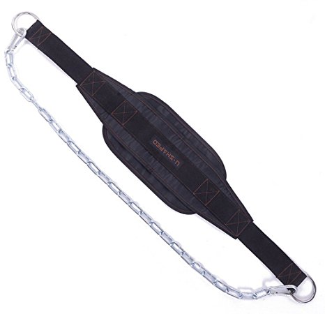 Faswin Weight Lifting Dip Belt with Chain