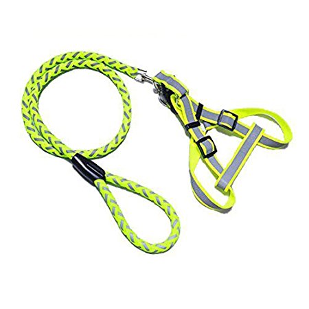 Safety & Visual Reflective Dog Harness and Leash for Small Dogs Fully Adjustable