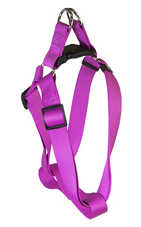 Pet Champion Adjustable No-Pull Harness, Collar, Leash Matching Bundle Small, Medium, Large Dog