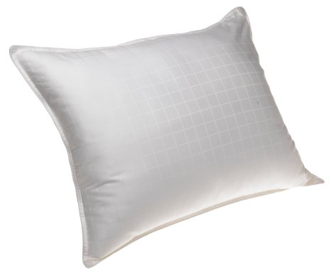 SleepBetter Beyond Down Gel Fiber Bed Pillow, Queen