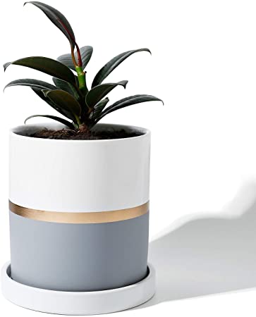 POTEY 052101 Cylinder Ceramic Plant Pot - 4.9 Inch Planters for Indoor Plants Flower Succulent with Drainage Hole & Saucer (White Grey Golden Detailing)