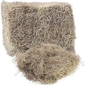 Royal Imports Preserved Natural Spanish Moss, Fresh Dried Shredded Loose Chunks, 8 Oz Bag