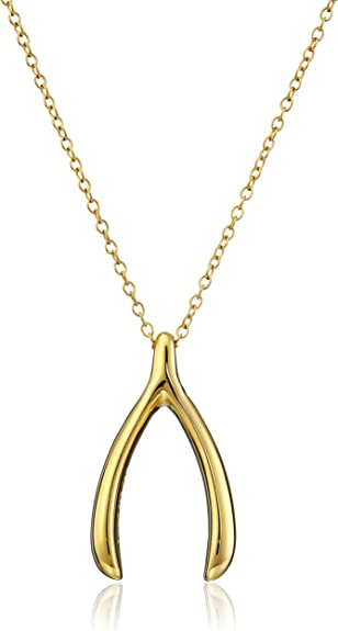 Amazon Collection Sterling Silver Wishbone Pendant Necklace