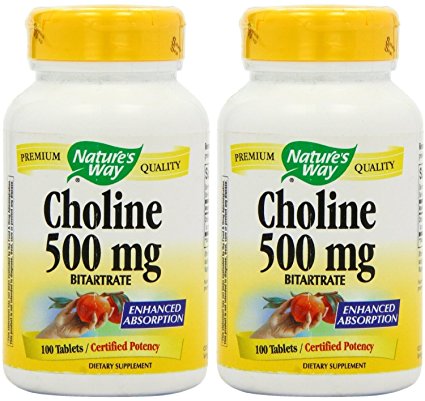 Nature's WAY Choline 500mg 100 Tabs X 2