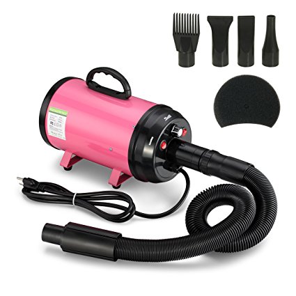 Gelinzon 3.2HP Stepless Adjustable Speed High Velocity Pet hair force dryer Dog grooming blower with 4 Different Nozzles Heater