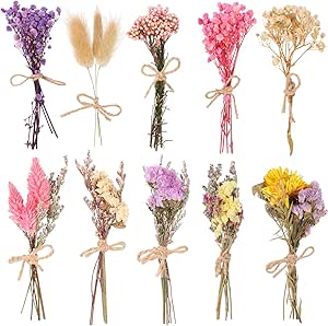 10 Pack Dried Flower Bouquets Various Dried Flower Combinations with Stem Dried Embossing Natural Flower Bundles Artificial Flower Dried Floral Arrangement for Vase DIY Wedding Decor