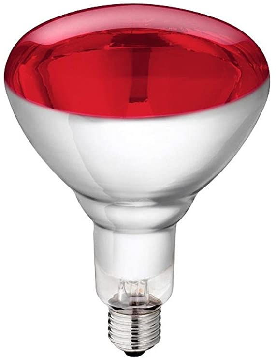 Infrared heat lamp Philips 150 Watt red