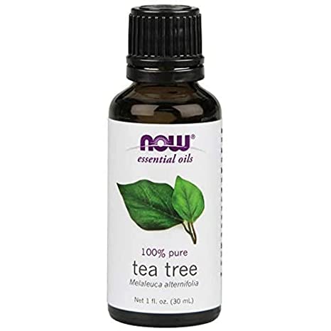 NOW FOODS Tea Tree Essential Oil, 1 FZ