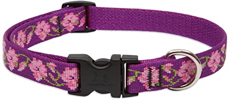 LupinePet 3/4 Inch Rose Garden Adjustable Dog Collar for Small to Large Dogs