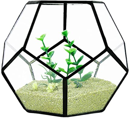 Glass Geometric Terrarium, Black Succulent Terrarium Container Tabletop Planter for Desktop Air Plants Fern Moss Garden