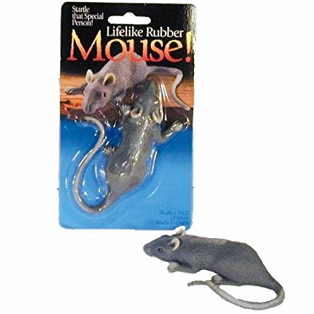 Mouse Lifelike Rubber Gag