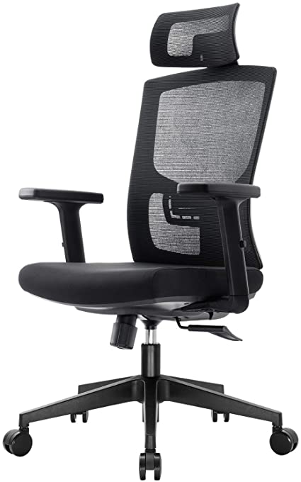 Komene Ergonomic Mesh Office Chair with Adjustable Armrests Headrest Lumbar Support High Back Computer Desk Chair for Home and Office (Black)