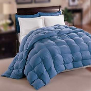 Natural Comfort Allergy-Shield s TM Luxurious Twin Down Alternative Comforter, Blue