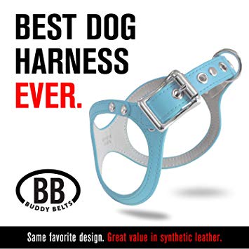 DURABLE Buddy Belt BB2 Dog Harness