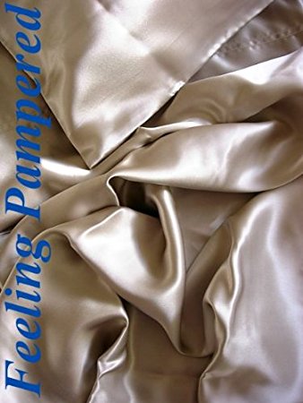 4 Pcs 100% Silk Charmeuse Sheet Set Queen Champagne Color Direct Import Half of Retail