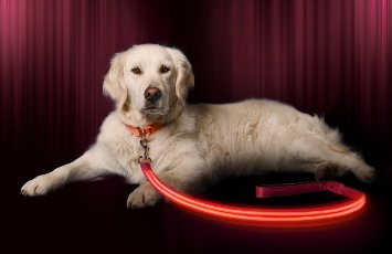 LED Dog Leash - USB Rechargeable - Available in 6 Colors & 2 Sizes - Makes Your Dog Visible, Safe & Seen