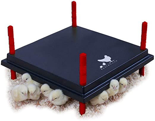 RentACoop (16" x 16") Chick Brooder Heating Plate - Warms Up to 30 Chicks - 42 Watts